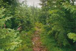 auf der ersten Etappe